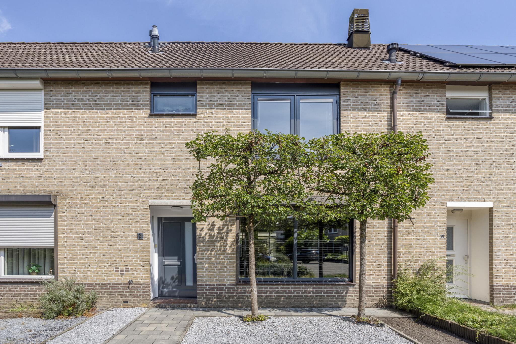koop  Best  Haagbeuk 8 – Hoofdfoto